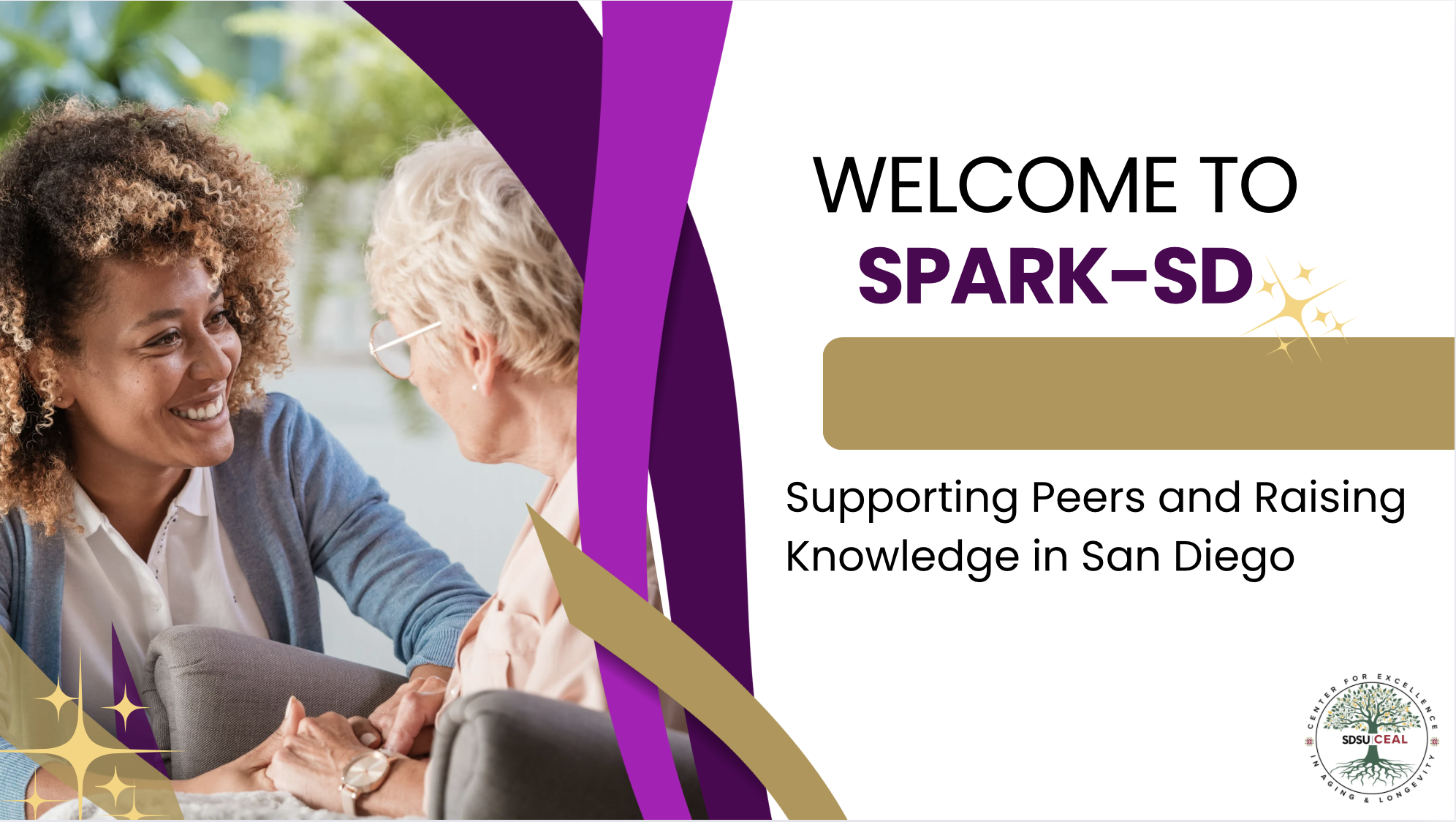 Welcome to Spark-SD